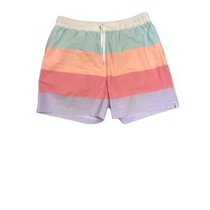Chubbies pastel striped swim trunks Sz S